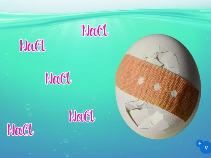 PlusVet Animal Health, aditivos para alimentos, aditivos para alimentación animal, extractos de plantas, aceites esenciales, fitobióticos, fitoquímicos, fitogénicos, gallinas ponedoras, ponedoras, reproductores, aves de corral, pollos de engorde, pollitos, pollo, zinc, agua salina, cloruro de sodio, calidad del huevo, cáscara de huevo, yema, huevos rotos, grietas, cáscara, tasa de puesta, producción de huevos, huevos defectuosos, fracturas, selenio, magnesio, manganeso, zinc, HÍGADO