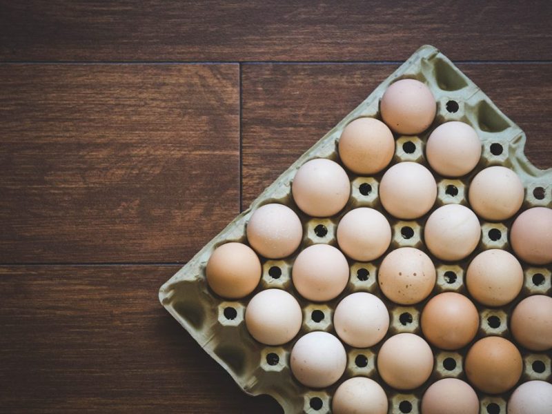 gallinas ponedoras, ponedoras, reproductores, aves de corral, pollos de engorde, pollitos, pollo, zinc, agua salina, cloruro de sodio,