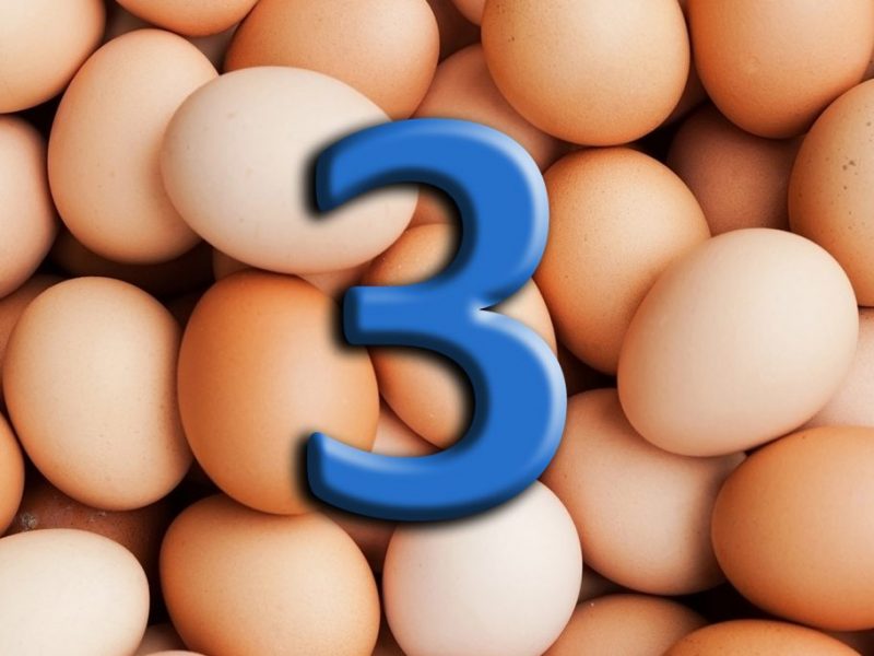 PlusVet Animal Health, aditivos para alimentación animal, secuestrantes de micotoxinas, captadores de micotoxinas, aflatoxinas, deoxinivalenol, zearalenona, fumonisinas, tricotecenos, vomitoxina, t-2 toxina, ht-2 toxina, hongos, contaminación