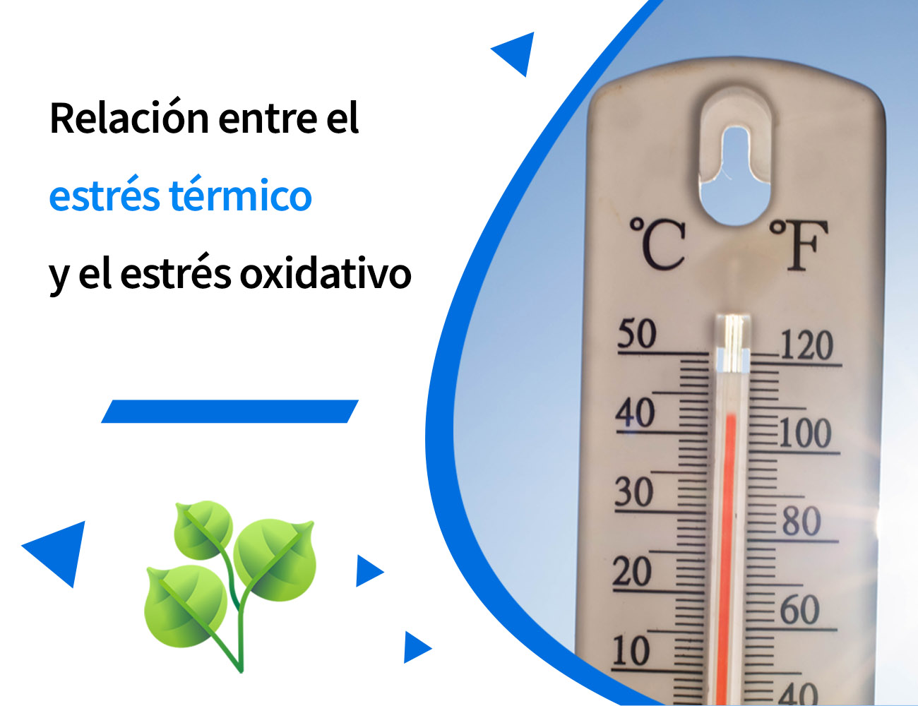 estrés por calor, clima cálido, verano, jadeo, ingesta de alimento, aumento de peso, calor, oxidación, antioxidante, estrés oxidativo, estrés, PlusVet Animal Health, aditivos para alimentos, aditivos para alimentación animal, extractos de plantas, aceites esenciales, fitobióticos, fitoquímicos, fitogénicos, reemplazar antibioticos promotores del crecimiento, productos naturales, salud digestiva, aves, avicultura, porcino, cerdos, rumiantes