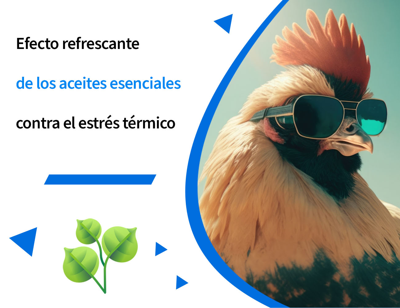 estrés por calor, clima cálido, verano, jadeo, ingesta de alimento, aumento de peso, calor, oxidación, antioxidante, estrés oxidativo, estrés, PlusVet Animal Health, aditivos para alimentos, aditivos para alimentación animal, extractos de plantas, aceites esenciales, fitobióticos, fitoquímicos, fitogénicos, reemplazar antibioticos promotores del crecimiento, productos naturales, salud digestiva, aves, avicultura, porcino, cerdos, rumiantes