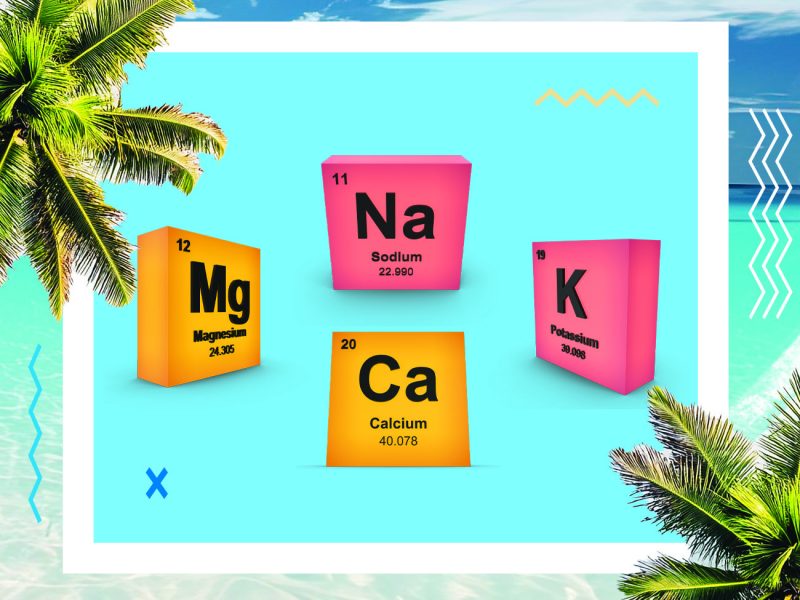 estrés por calor, clima cálido, verano, jadeo, ingesta de alimento, aumento de peso, calor, oxidación, antioxidante, estrés oxidativo, estrés, PlusVet Animal Health, aditivos para alimentos, aditivos para alimentación animal, extractos de plantas, aceites esenciales, fitobióticos, fitoquímicos, fitogénicos, reemplazar antibioticos promotores del crecimiento, productos naturales, salud digestiva, aves, avicultura, porcino, cerdos, rumiantes