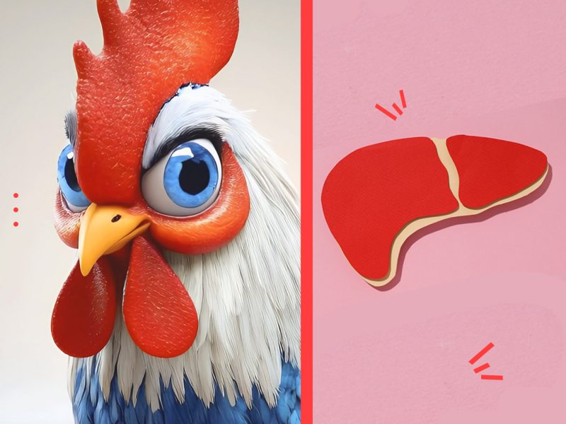 PlusVet Animal Health, aditivos para alimentos, aditivos para alimentación animal, extractos de plantas, aceites esenciales, fitobióticos, fitoquímicos, fitogénicos, gallinas ponedoras, ponedoras, reproductores, aves de corral, pollos de engorde, pollitos, pollo, zinc, agua salina, cloruro de sodio, calidad del huevo, cáscara de huevo, yema, huevos rotos, grietas, cáscara, tasa de puesta, producción de huevos, huevos defectuosos, fracturas, selenio, magnesio, manganeso, zinc, HÍGADO, fertilidad