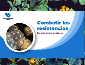 PlusVet Animal Health, aditivos para alimentos, aditivos para alimentación animal, extractos de plantas, aceites esenciales, fitobióticos, fitoquímicos, fitogénicos, reemplazar antibioticos promotores del crecimiento, productos naturales, salud digestiva, aves, avicultura, porcino, cerdos, rumiantes