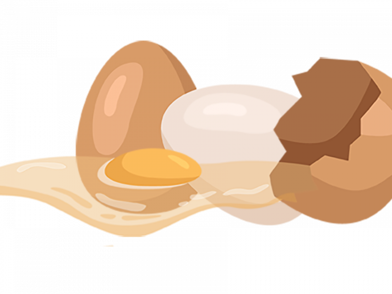 5 aspectos de la calidad del huevo que mejoran con antioxidantes naturales