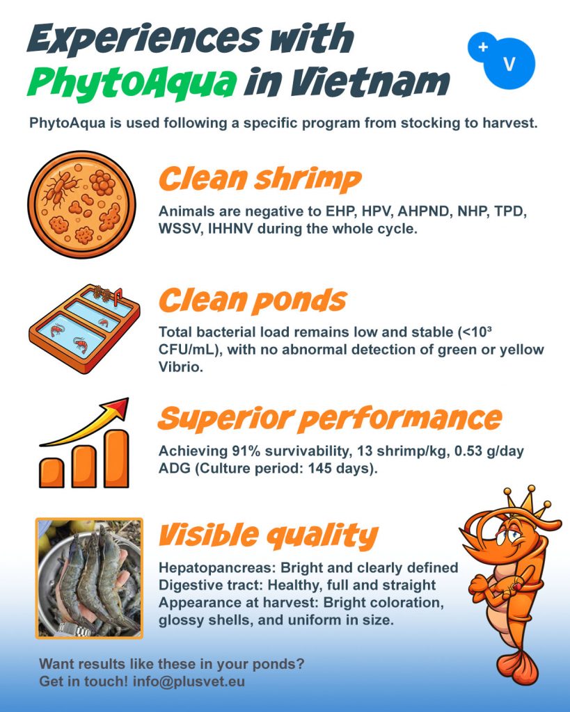 PhytoAqua® en la producción comercial de camarón en Vietnam